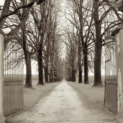 Framed Veneto Giardini I Print