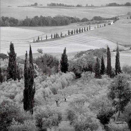 Framed Tuscany VI Print