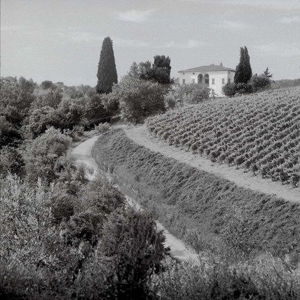 Framed Tuscany V Print