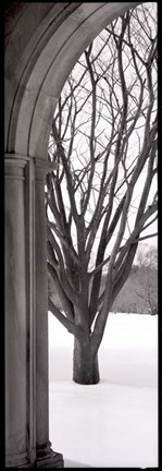 Framed Hampton Winter Arch Print