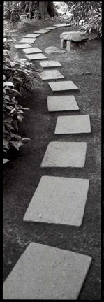 Framed Japanese Garden I Print