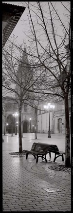 Framed Oviedo Cathedral y Bancs Print