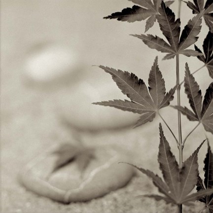 Framed Florison 61 Print