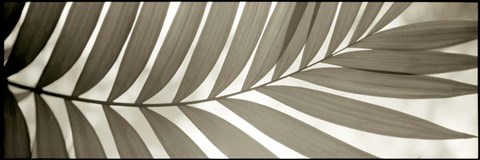 Framed Florison 98 Print