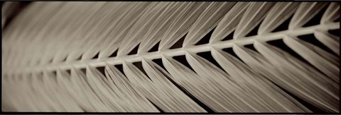 Framed Florison 99 Print