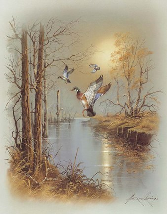 Framed Ducks B Print