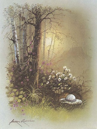 Framed Hat in the Grass Print