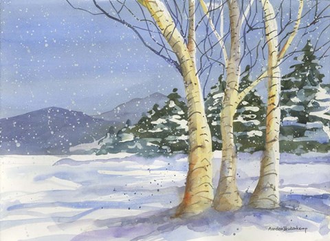 Framed Birch III Print