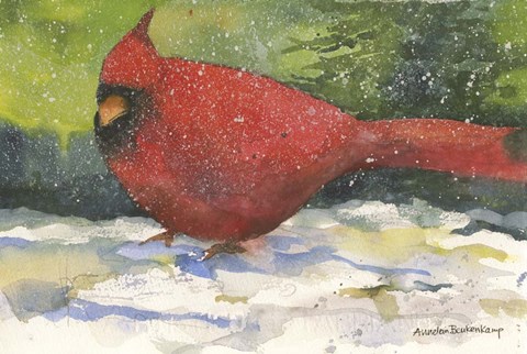 Framed Winter Cardinal Print