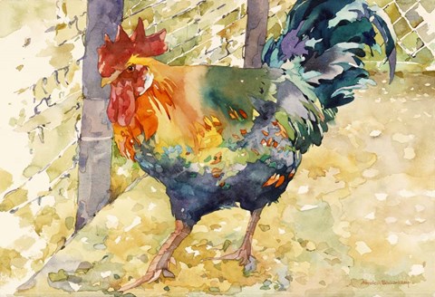 Framed Colorful Rooster Print