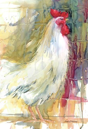 Framed White Rooster Print