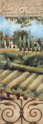 Framed Tuscany Villa I Print