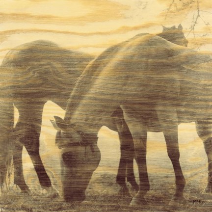 Framed Things That Have Passed Print