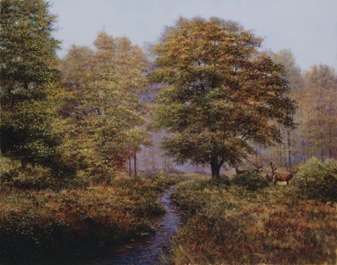 Framed Forest Herd Print