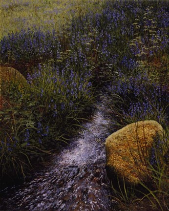 Framed Sparkling Water Print