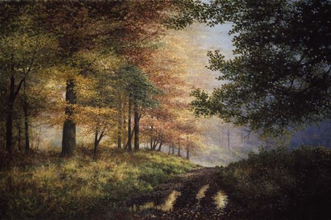 Framed Fall In The Pines Print