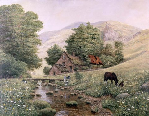 Framed Grazing Print