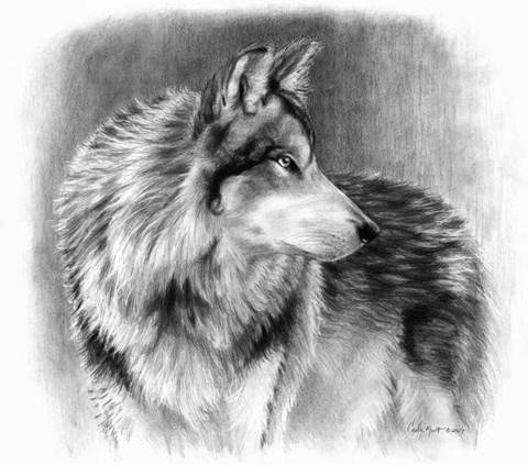 Framed Cautious Eyes Print