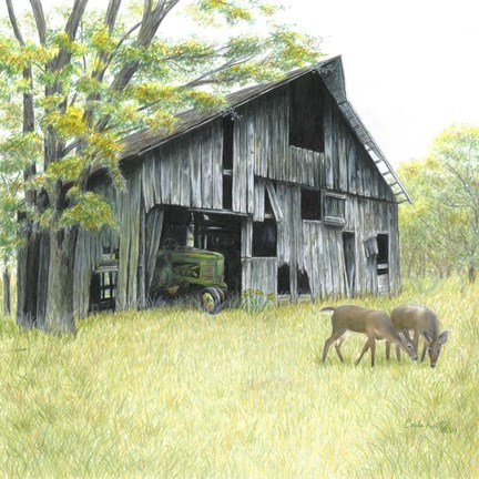 Framed Forgotten Print