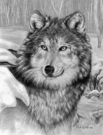 Framed Playful Eyes Print