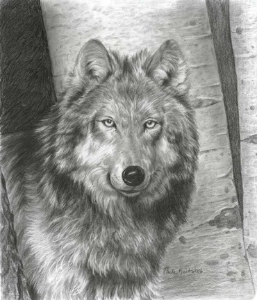 Framed Wise Eyes Print