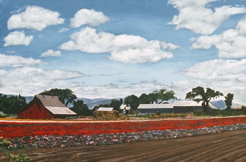 Framed Hollister Summer Print