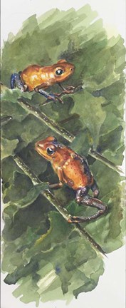 Framed Two At A Time Print