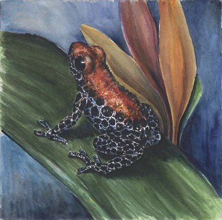 Framed Blue Jean Frog Print