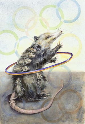 Framed Playing Possoms Print