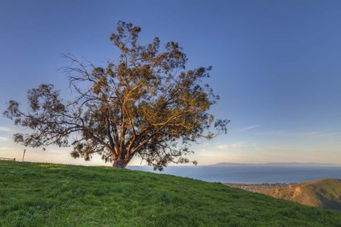 Framed Island View Print