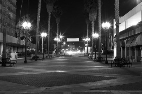 Framed Light My Way Print