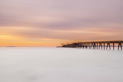Framed Milky Mussel Shoals Print