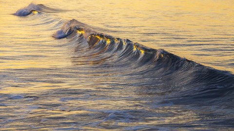 Framed Warm Curl Print