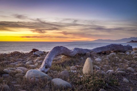 Framed Driftwood January Print