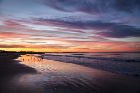 Framed Birdrise Print