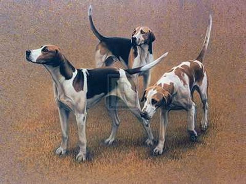 Framed Gary Stinton - Vale of the White Horse Foxhounds [Ed 9] 29x23 Print Print