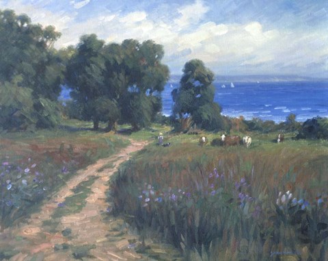 Framed Pathway To The Sea Print