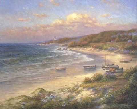 Framed Moored on the Beach Print