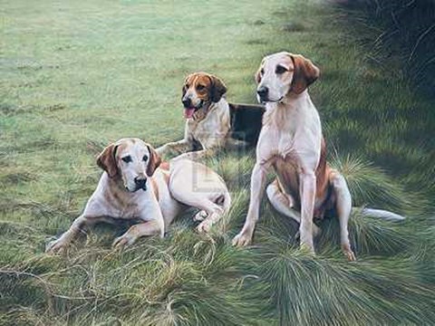 Framed Gary Stinton - Duke of Beaufort&#39;s Hounds [Ed 9] 29x23 Print Print