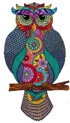 Framed Owlmazing Print