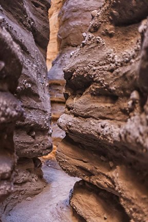 Framed Canyon Hike Print