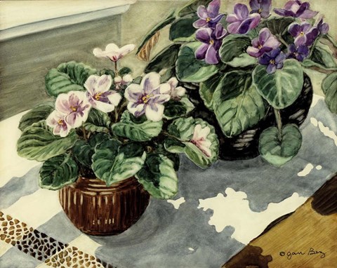Framed African Violets Print