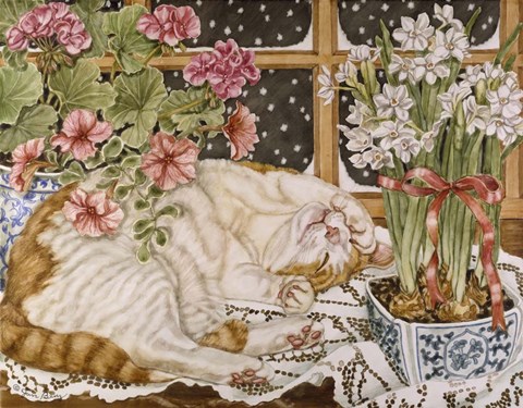 Framed Long Winter's Nap Print