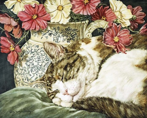 Framed Cosmos Dreams Print