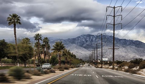 Framed Palm Spring Print