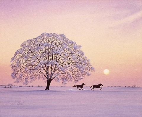 Framed Winter's Evening Print