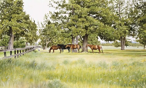 Framed Juniper Valley Print