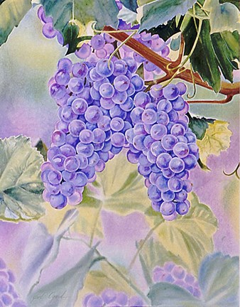 Framed Sweet Harvest Print