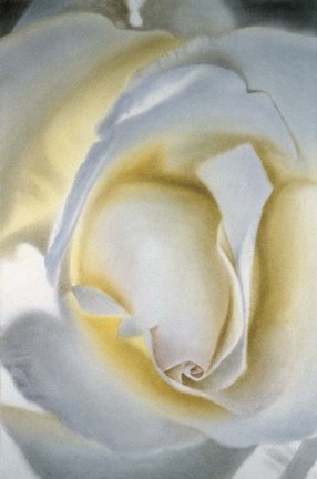 Framed Silver &amp; Gold Print