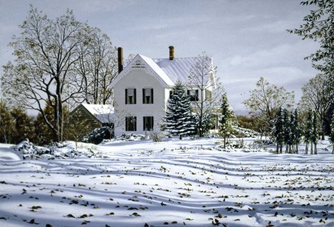 Framed Fallen Leaves Print